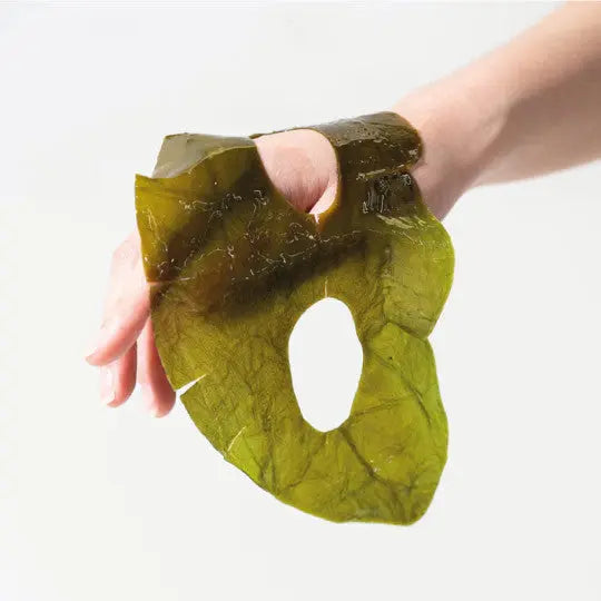 Masque Apaisant Aux Algues WHAMISA